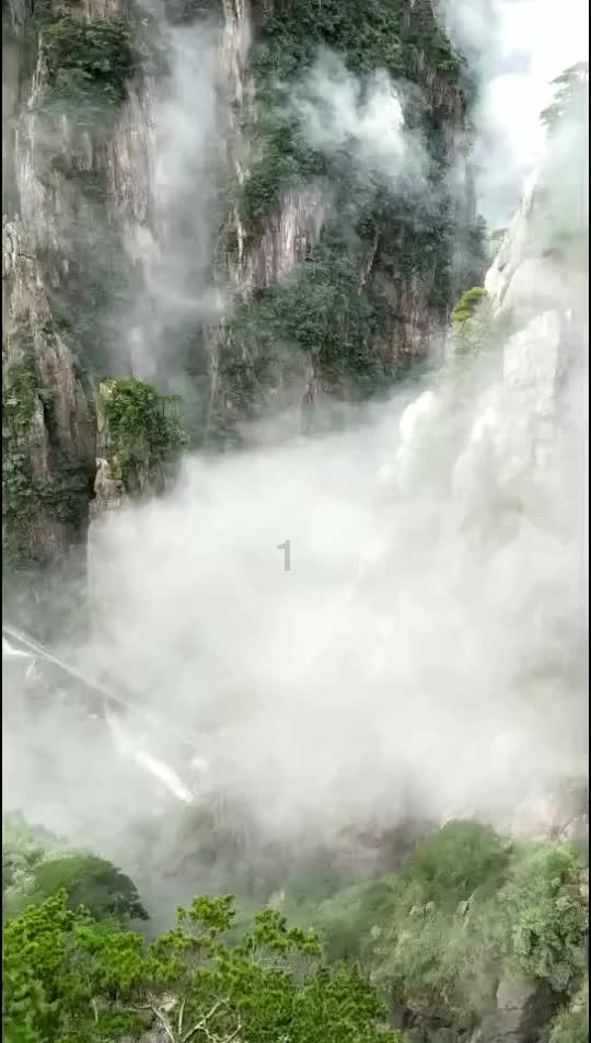 饥饿的哈利
